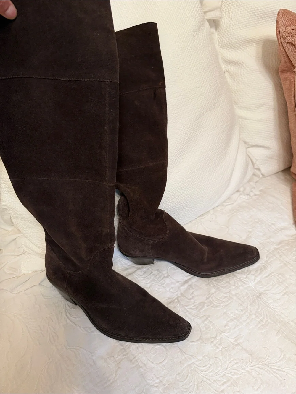 Steve Madden tall suede